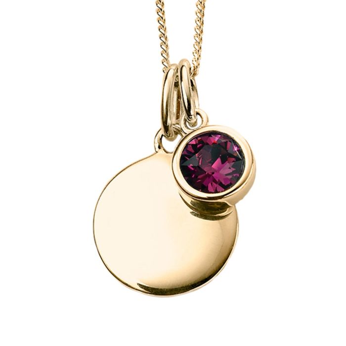 Yellow Gold Plated Sterling Silver February Birthstone Disc Pendant
