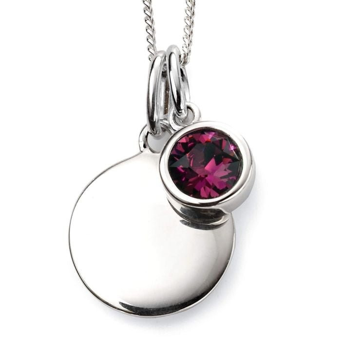Sterling Silver February Birthstone Disc Pendant