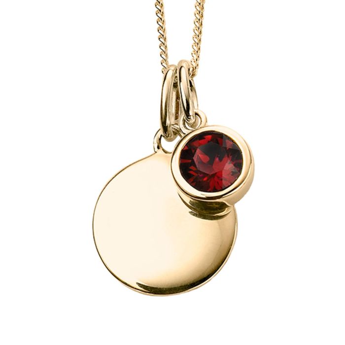 Yellow Gold Plated Sterling Silver January Birthstone Disc Pendant